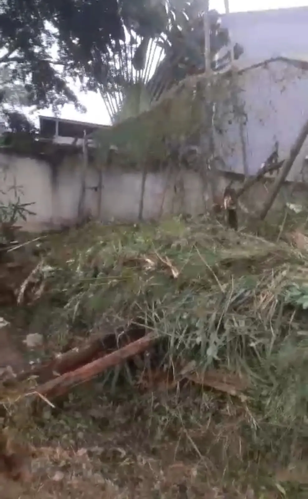 Thumbnail Properti 2