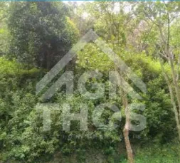 Thumbnail Properti 2