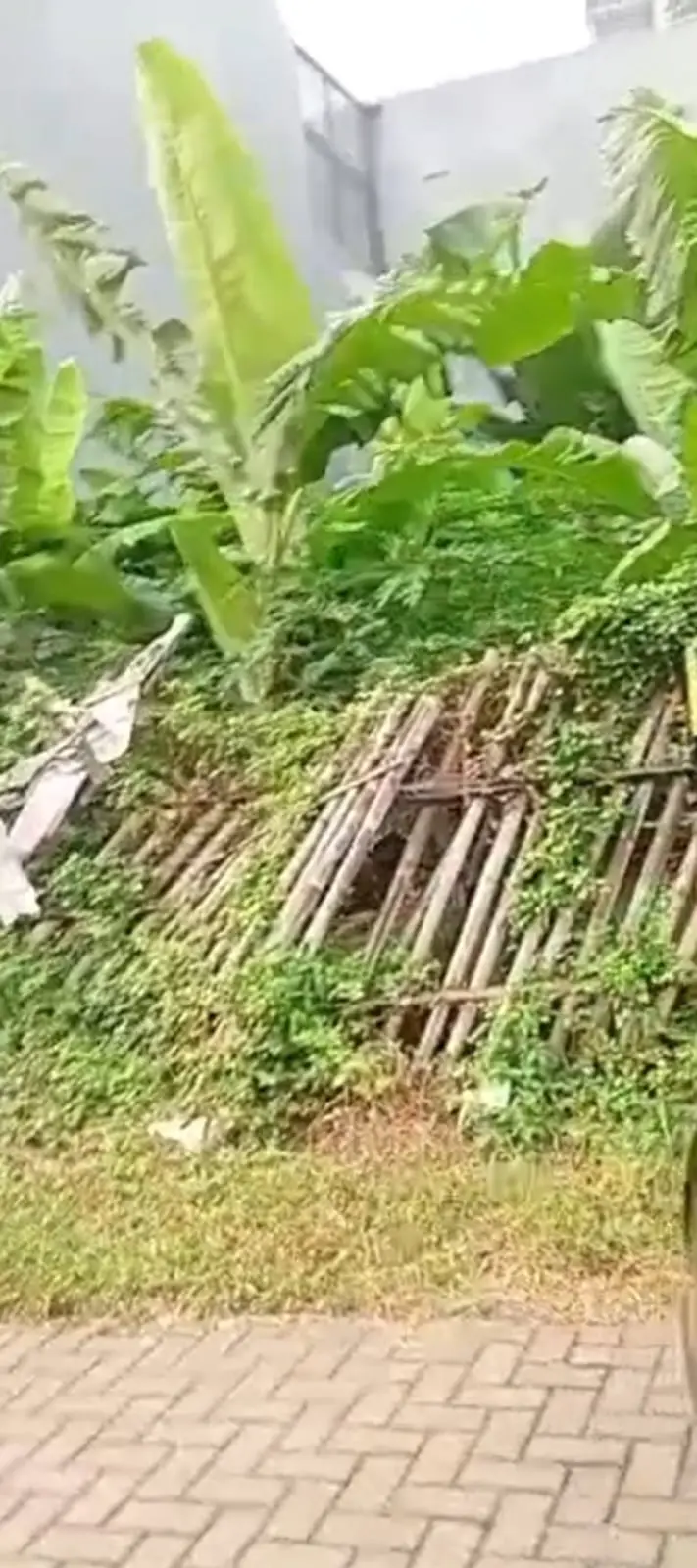 Thumbnail Properti 2