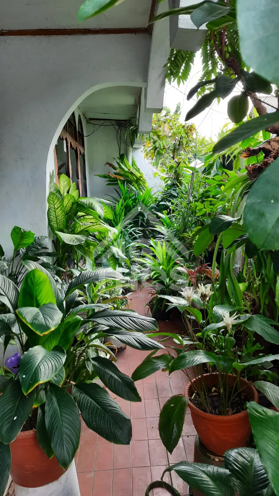 Thumbnail Properti 4